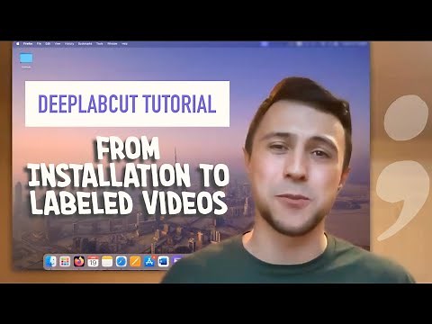 DeepLabCut Tutorial: Complete Guide from Installation to Creating Labeled Videos in Google Colab