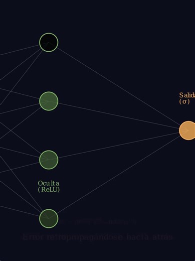 Entrenamiento de una Red Neuronal - Visual #programming #python #pythonprogramming #math #mathematics