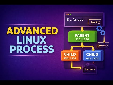 Advanced Process Programming in Linux | System Programming Explained