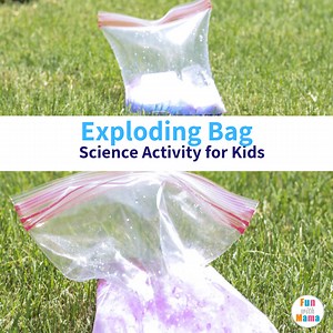 Exploding Bag Science Activity for Kids