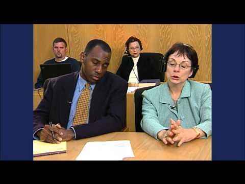 Example of Simultaneous Interpreting