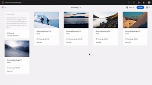 Grundlegendes zu Asset-Metadaten in AEM Assets | Adobe Experience Manager