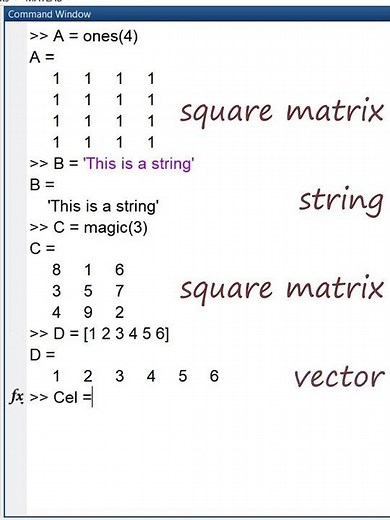 Cell Arrays in MATLAB | MATLAB Tutorial for Beginners #shorts