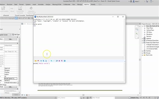 Udemy - Python for Revit：构建自定义工具—P2_1. Python in RevitPythonShell