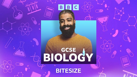 GCSE Science podcasts - The Cell  - BBC Bitesize