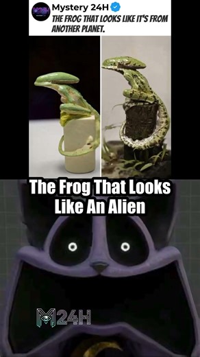 This Frog Looks Like an Alien! Check Out This Mind-Blowing Sculpture 🐸