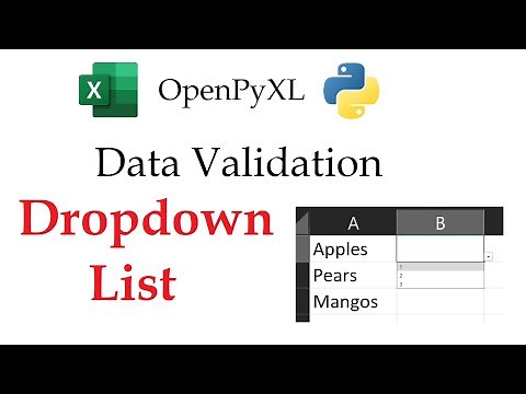 Tired of Manual Dropdowns? Try Python OpenPyXL