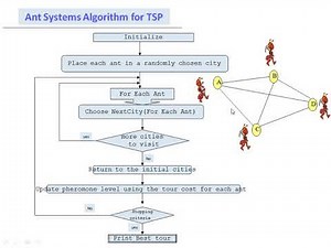 Traveling Salesman Problem using Ant Colony Optimization | Part 2 in Hindi