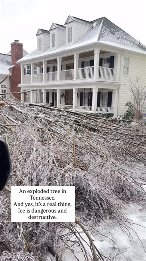 Ice is hazardous. For those who don’t believe in exploding trees, here’s an explanation: An exploded tree is a tree that splits or bursts due to extreme conditions, such as very cold temperatures or lightning strikes. In cold weather, the sap inside the tree can freeze and expand, causing the bark to crack and produce a loud noise, while lightning can heat the sap rapidly, creating steam pressure that causes the trunk to burst. Also known as a frost crack. Be very careful with #ice It’s dangerou