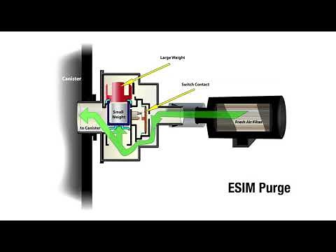 A Closer Look: EVAP System Integrity Module (ESIM)