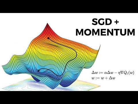 Stochastic Gradient Descent with Momentum in Python