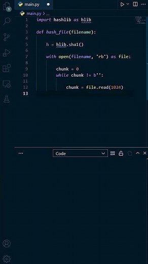Python Challenge : Hashing a file in under 1 minute #Shorts 😮😲