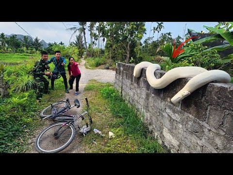 Two brave soldiers used high-tech snake detectors to find a giant python nest.