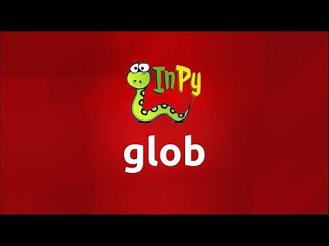 glob in Python (Complete Explanation with Examples)