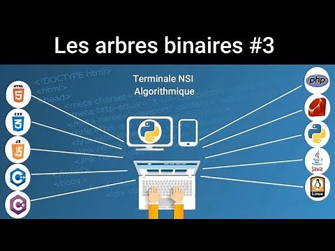 Les arbres binaires - Épisode 3 Parcours en largeur (BFS) d'un arbre - Application avec Python