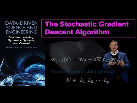 The Stochastic Gradient Descent Algorithm