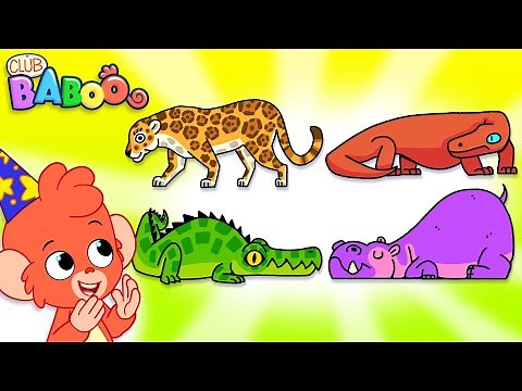 ABC Animals | Learn the Alphabet with these 26 Illustrated Animals by Club Baboo