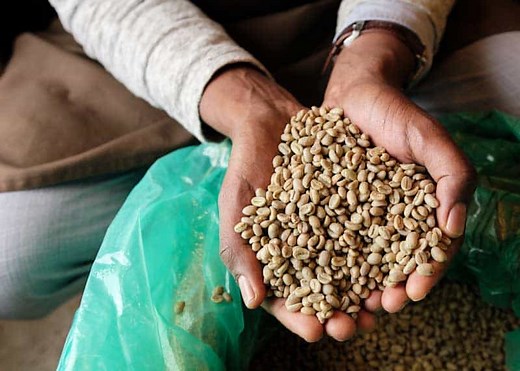 Ethiopian Coffee Guide: Beans, Regions, Flavor Notes, Origins | EnjoyJava