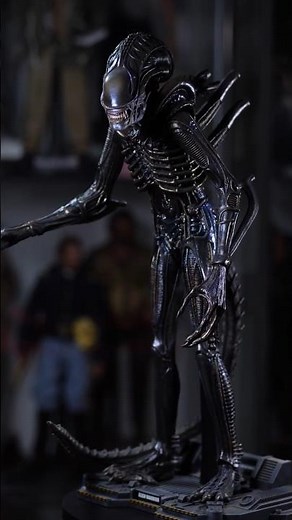 Alien Warrior Hot toys figure | Aliens | MMS354 Xenomorph | 1986 movie | collectible SciFi horror