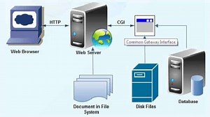Common Gateway Interface (CGI) - How it Works, Features & Applications