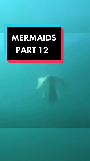 WAIT FOR THE END 😳😳 is that a Mermaid??? 😨😰 or something else? 🤔 #fyp #foryou #mermaids #mermaid #seacreature #washedup #vampire #alien #remains