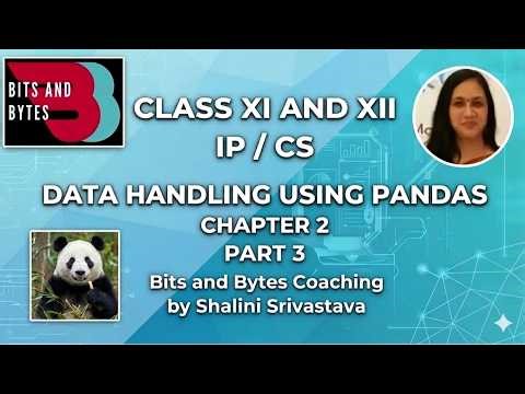 Mastering Pandas Series: Attributes & Methods Explained | Class 12 IP/CS. 