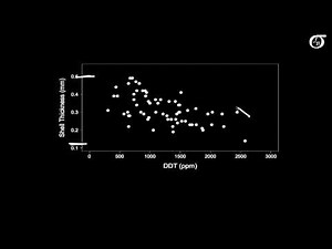 Simple Linear Regression: An Example