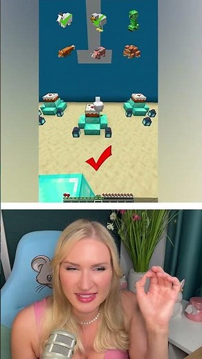 Minnecraft Mob Jump n Run Battle