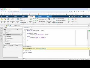 Matlab Functions1: Functions with Input Parameters