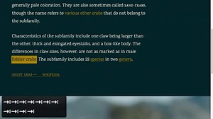 Focusing on Focus Styles | CSS-Tricks