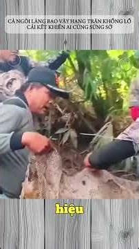 THE ENTIRE VILLAGE SURROUNDED THE GIANT PYTHON CAVE