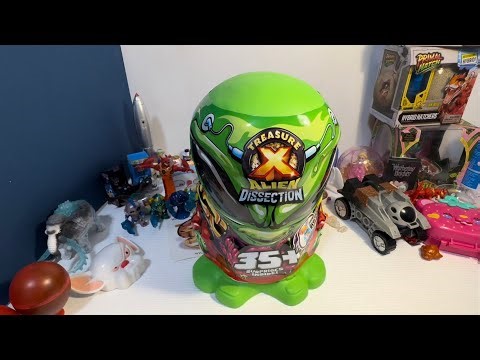 Dissection the Mega Treasure X Allen!