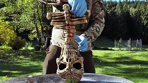 Create Stunning Alien FX with Fake Blood