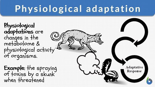 Physiological adaptation - Definition and Examples - Biology Online Dictionary