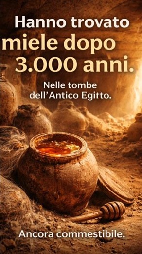 Il miele è immortale? La risposta scientifica