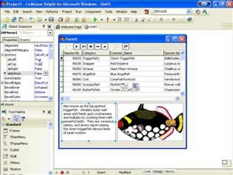 Delphi Programming Tutorial #24 - DBGrid OnDrawColumnCell