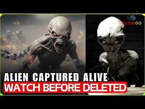 Mystery of UFO Crash in Brazil: Alien Captured Alive, LEAKED FOOTAGE in Brazil | Ancient Aliens